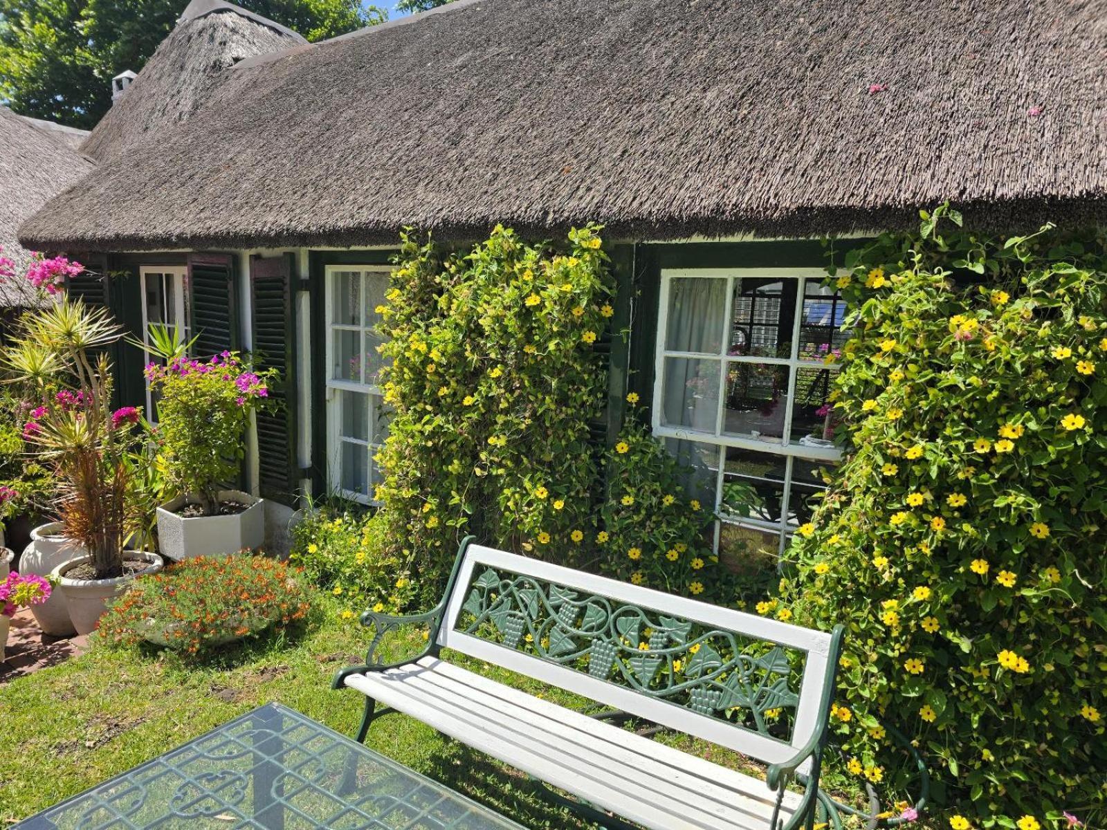 Meyerhof Appartement Kaapstad Buitenkant foto